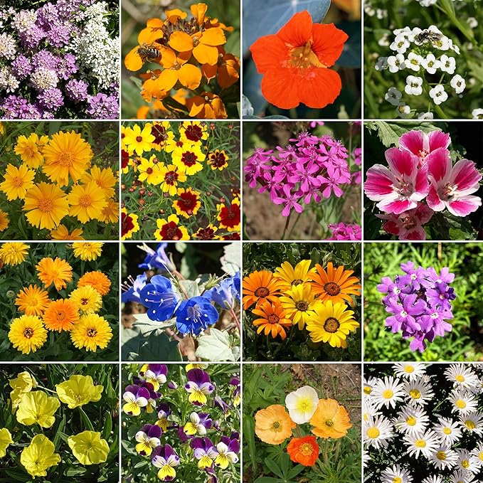 Ferry-Morse Low-Growing Mix Bulk Flower Seeds, 1lb