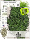 Seed Needs Dill Seeds for Planting Bouquet Herbs - Non-GMO Heirloom & Untreated Herb Seed to Plant a Home Grown Indoor / Outdoor Garden (1 Pack)