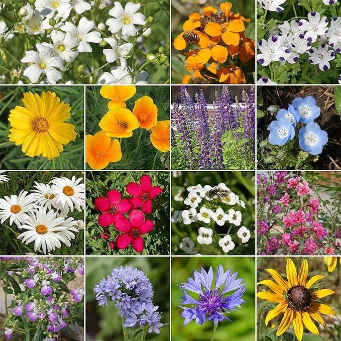 Ferry-Morse Pacific Northwest Mix Bulk Wildflower Seeds, 1lb Bulk Wildflower