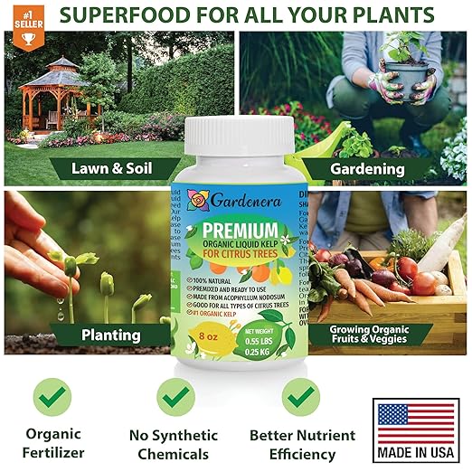 GARDENERA Premium Organic Seaweed & Kelp Superfood for Citrus Trees Plants - 8 oz - Liquid Kelp Fertilizer Concentrate (Makes 45 Gallons)