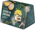 Modern Sprout Travel Trio Seaside in Santorini; Travel-Inspired Seed Kit with Salt Cellar, Organic Seed Starting; Gardening Gift (Seaside in Santorini)