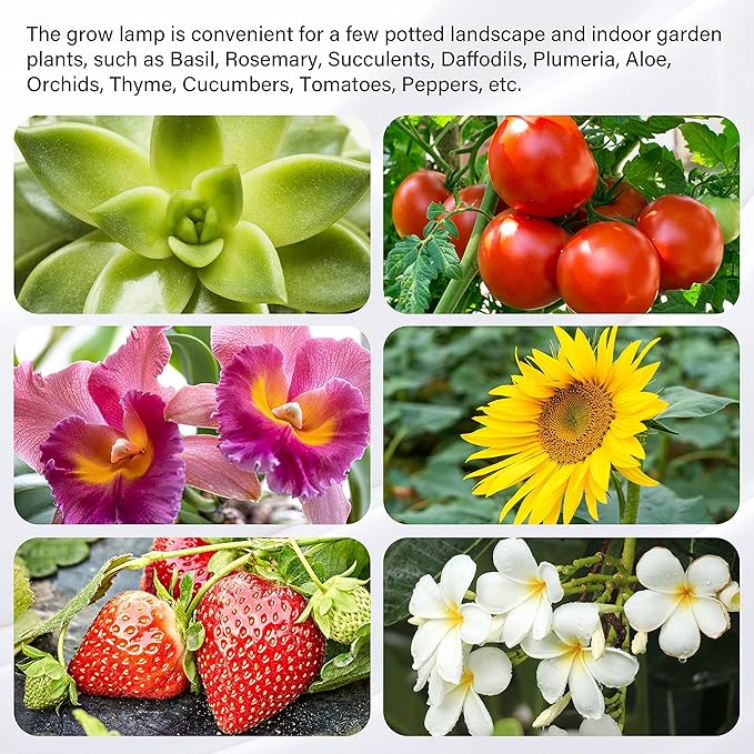 iPower LED Plant Grow Light Strips Full Spectrum with 3 Timing Modes, 10 Dimmable Levels 48 LEDs Per Tubes, Sunlike Grow Lamp for Hydroponics Succulent,Red & Blue