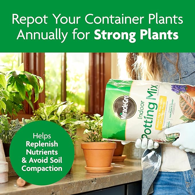 Miracle-Gro Indoor Potting Mix, Blended for a Variety of Houseplants, Feeds for up to 6 Months, 6 qt., 3-Pack