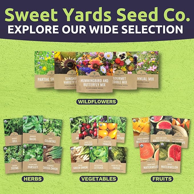 Sweet Yards Seed Co. Organic Lemon Balm – Two Seed Packets! – Approx. 620 Open Pollinated Non-GMO Herb Seeds