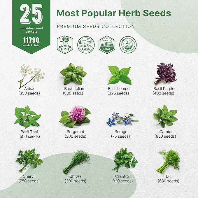 25 Most Popular Herb Seeds Variety Pack - 11,700 Non-GMO Heirloom Seeds for Planting Herbs in Individual Seed Packets for Hydroponic, Indoor & Outdoor Gardening