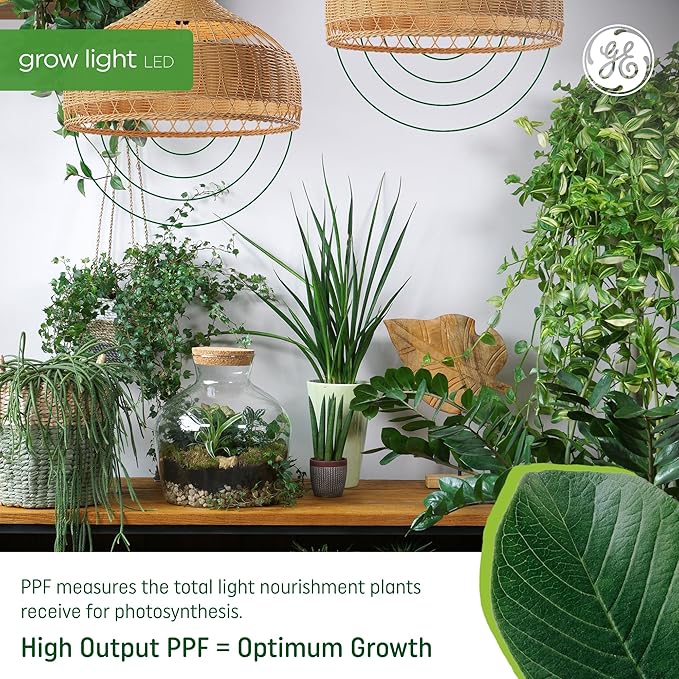 GE Grow Lights for Indoor Plants, A19 LED Light Bulbs for Flowers and Fruit with Advanced Red Light Spectrum, White Indoor Plant Light, 25,000 Hours Lifespan, 15 PPF, 2 Pack (Packaging May Vary)