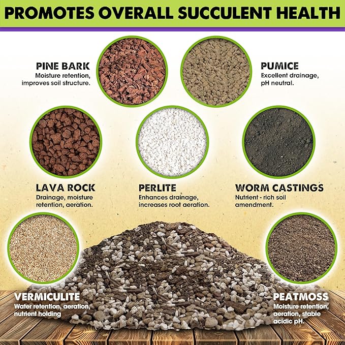 DUSPRO Succulents Soil Potting Mix – 7 in 1 Ingredients Well-Draining, Nutrient-Rich Cactus Potting Soil for Succulents and Cacti, Indoor & Outdoor Use, Ready to Use, Supports Healthy Root Growth, 1QT
