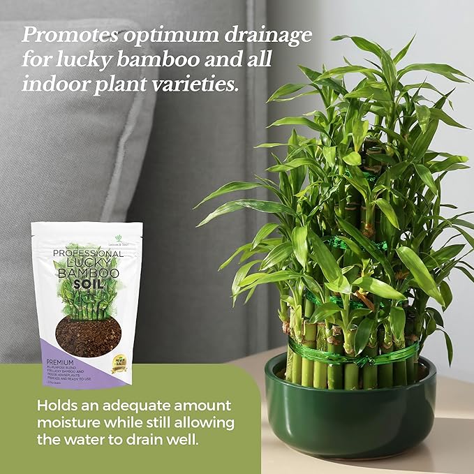 Professional Lucky Bamboo Soil | Large 2.2 Quarts Ready to Use for Lucky Bamboo Plants | Peat Moss, Coco Coir, Perlite, Dolomite | Made in USA