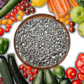 Gypsum for Soil - Calcium for Plants - Gypsum Fertilizer for Gardening, Lawn & Vegetables - Calcium for Garden (4 qts. - 8 lbs.)