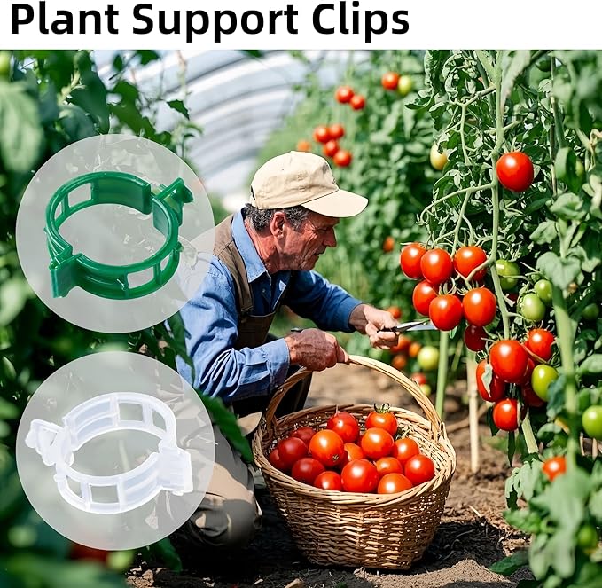 300 Pcs Plant Support Clips,Plastic Clips for Securing Plants,Tomato Vine Clips,Plant Fixing Clips,Garden Clips for Climbing Plants,Grape and Vine Vegetables (300, Green)