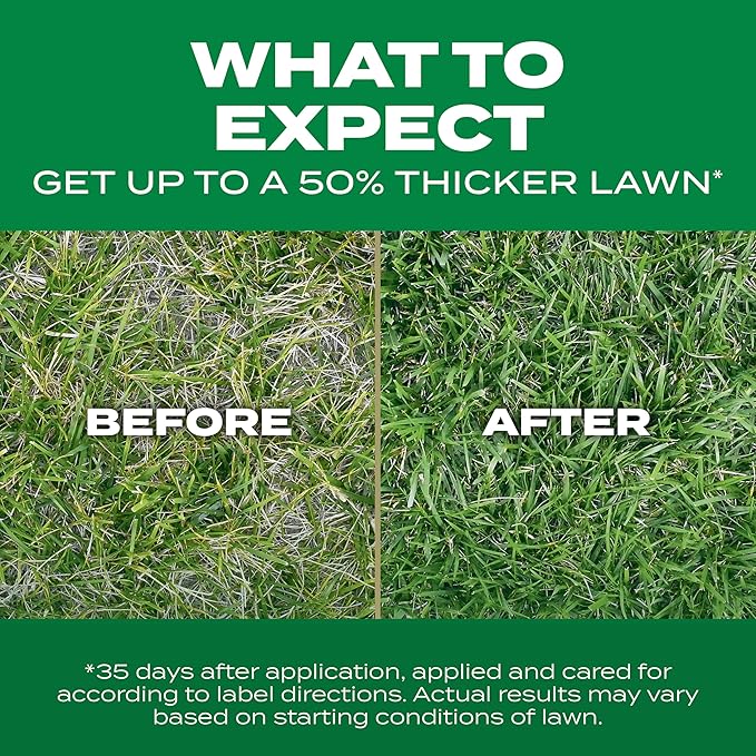 Scotts Turf Builder Thick'R Lawn Southern Gold Blend for Tall Fescue Lawns, Grass Seed, Fertilizer, and Soil Improver, 12 lb.