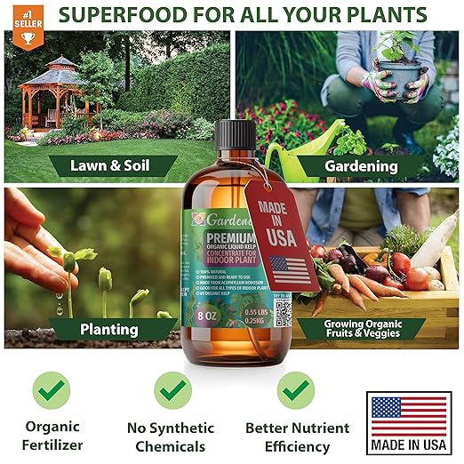 GARDENERA Premium Organic Seaweed & Kelp Superfood for KALANCHOE Plants - 8 oz - Liquid Kelp Fertilizer Concentrate (Makes 45 Gallons)