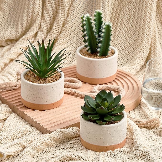 Artificial Succulent Plants in Ceramic Pots, Faux Assorted Succulents Fake Cactus Plants for Home Decor, Bedroom, Office, Desk, Living Room, Set of 3…