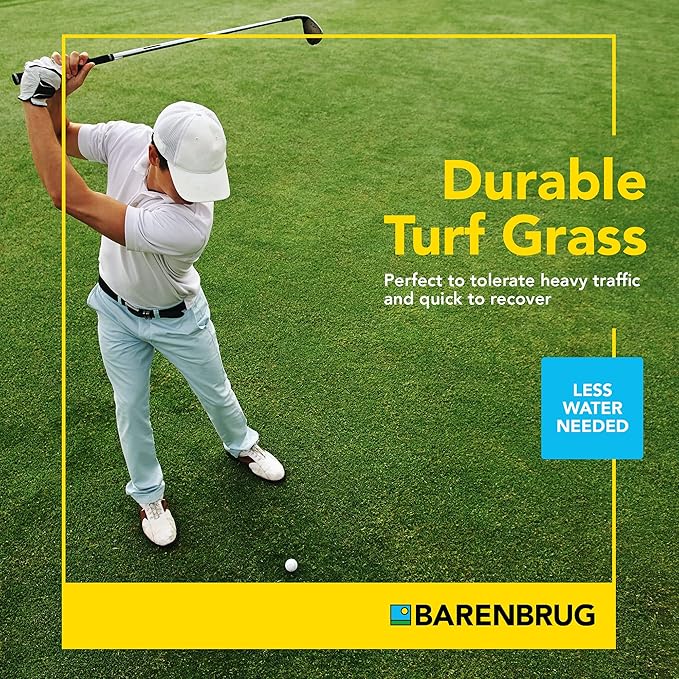 Barenbrug Turf Blue Pro Kentucky Bluegrass Lawn Seed with Yellow Jacket Seed Coating, All-Season Durable Grass Mix for Lawns, 10-lb. Bag