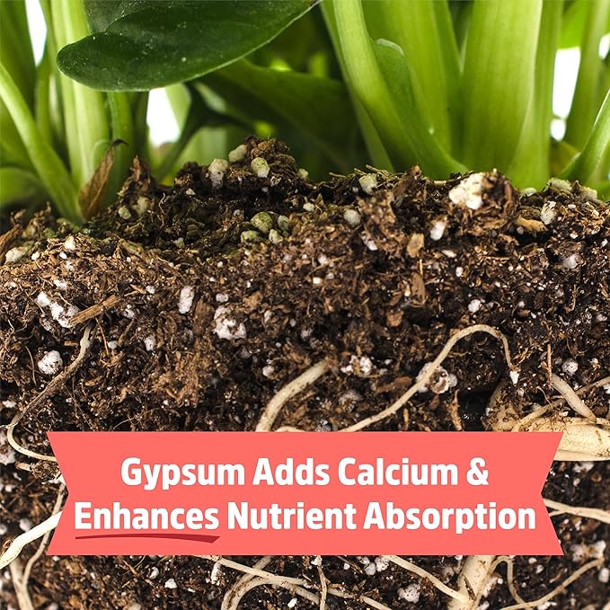 Back to the Roots Organic Bone Meal with Gypsum (3lb, Pack of 4)
