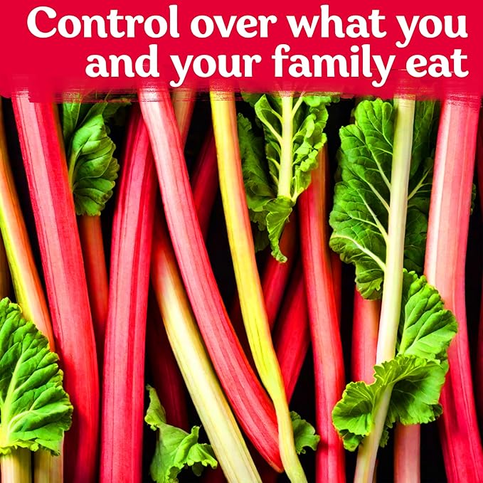 KVITER 50 Red Victoria Rhubarb Seeds for Planting (Rheum Rhabarbarum) – Organic & Heirloom Seeds, Perennial Vegetable Seeds – Perfect for Rhubarb Jam & Pies, Grow in Beds & Outdoor Garden