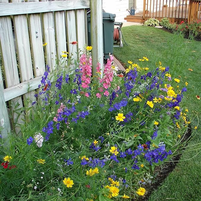 Created By Nature Iowa Wildflower Seed Mix, 16 Flower Varieties, 40,000 Seeds