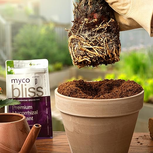 Myco Bliss Granular (1lb) - Mycorrhizal Fungi for Plants - 5 Strain Mycorrhizal Inoculant with 1000 Propagules Per Gram - Highly Concentrated Mycorrhizae for Plants, Potting Soil, & Garden Soil