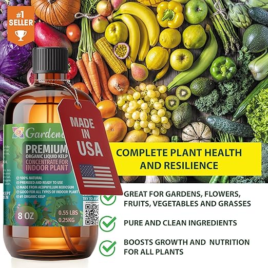GARDENERA Premium Organic Seaweed & Kelp Superfood for ALBO VARIEGATA Plants - 32 oz - Liquid Kelp Fertilizer Concentrate (Makes 180 Gallons)