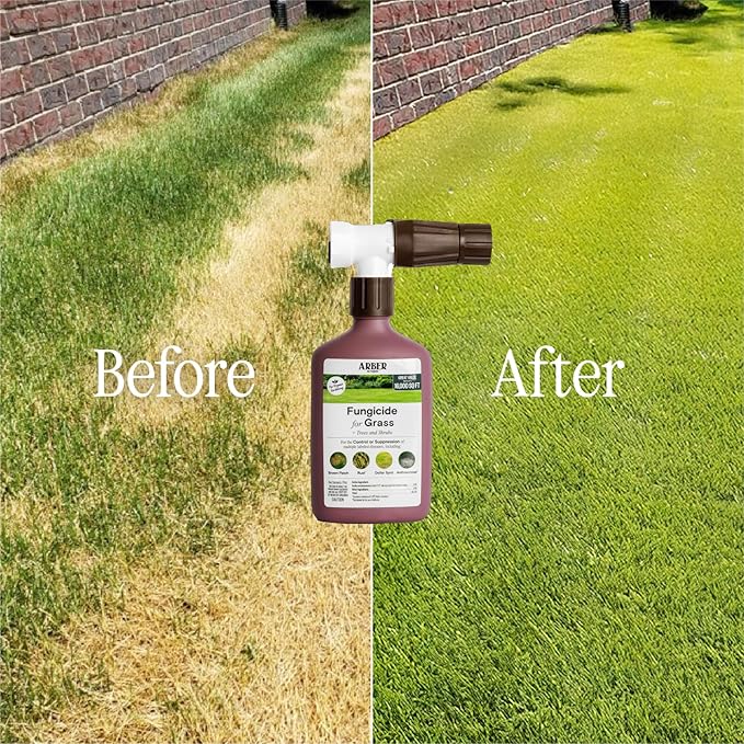 Organic Fungicide for Lawns, Trees & Shrubs – 16oz Ready-to-Spray – Lawn Fungicide for Brown Patch, Rust, Grubs, Disease & Moss – Safe for Grass, Kids & Pets – Lawn Care & Fungus Control