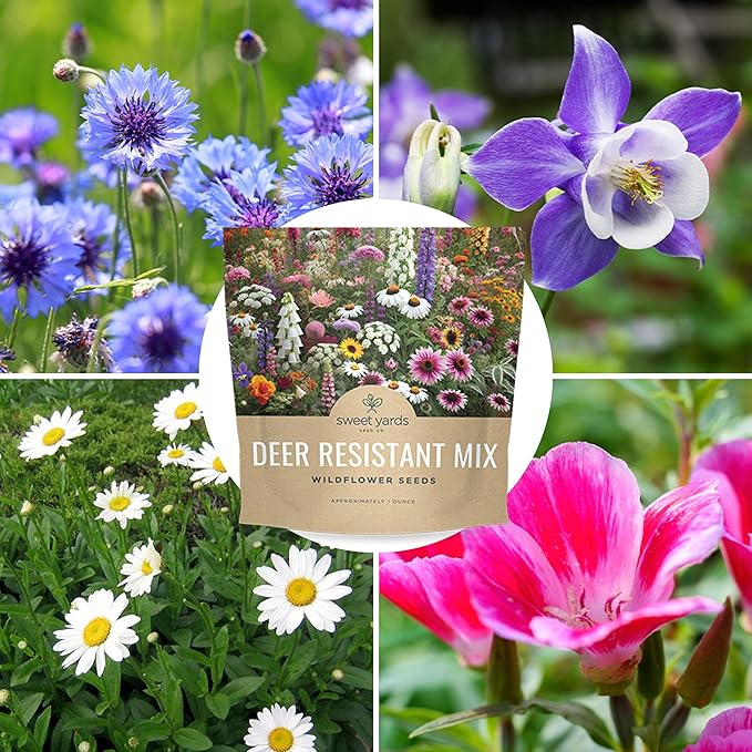 Deer Resistant Wildflower Seed Mixture - Bulk 1 Ounce Packet - Over 15,000 Deer Tolerant Seeds - Open Pollinated and Non GMO