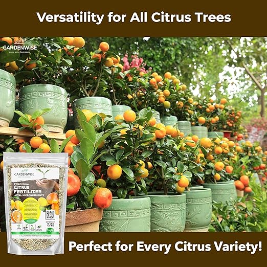 Professional Citrus Fertilizer + Vital Micronutrients; Perfect Balanced NPK for All Citrus; for Indoor and Outdoor Plants; Orange, Lime, Avocado and Lemon Tree Fertilizer (4 QUARTS)