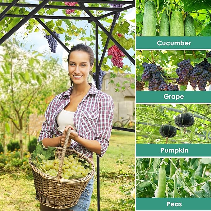 SHANTRA 79'' L x 59'' W x 79'' H Grape Vine Support Arch Arbor, Garden Arch Trellis, Plant Climbing Pergola, Arbour Gazebo Trellis for Backyard Decoration, White Rack for Vineyard