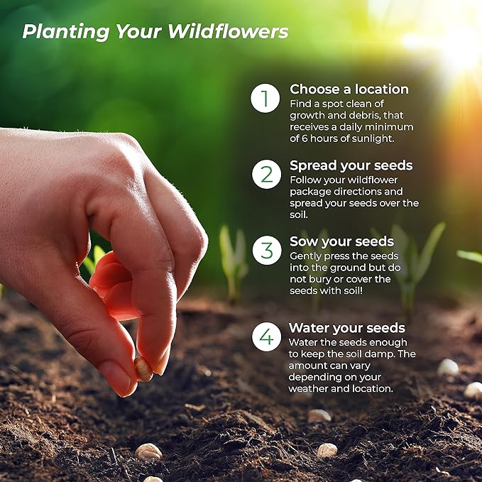 Created By Nature Wisconsin Wildflower Seed Mix, 16 Flower Varieties, 40,000 Seeds