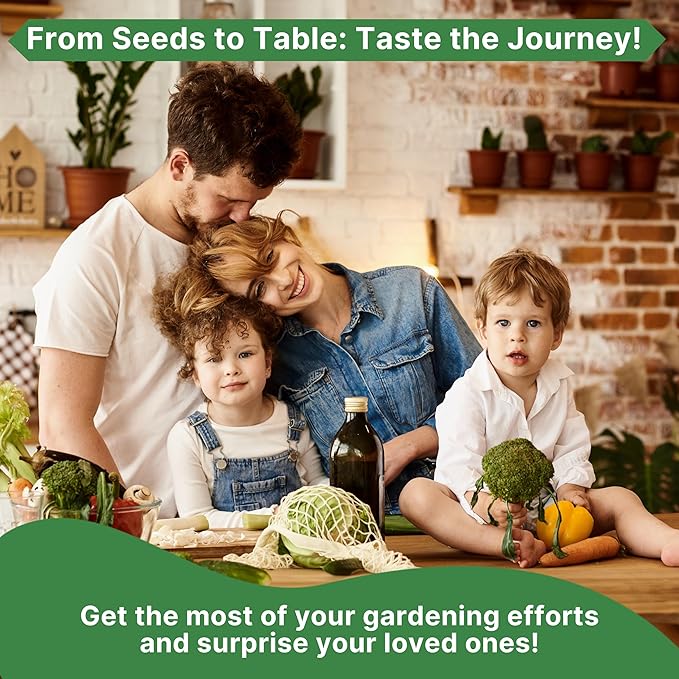 Organo Republic Anise Seeds Pack 5G - Over 1800 Non-GMO Heirloom Anise Seeds for Planting Herbs in Individual Seed Packet, Herbs Seeds for Planting Home Garden Indoor & Outdoor Gardening