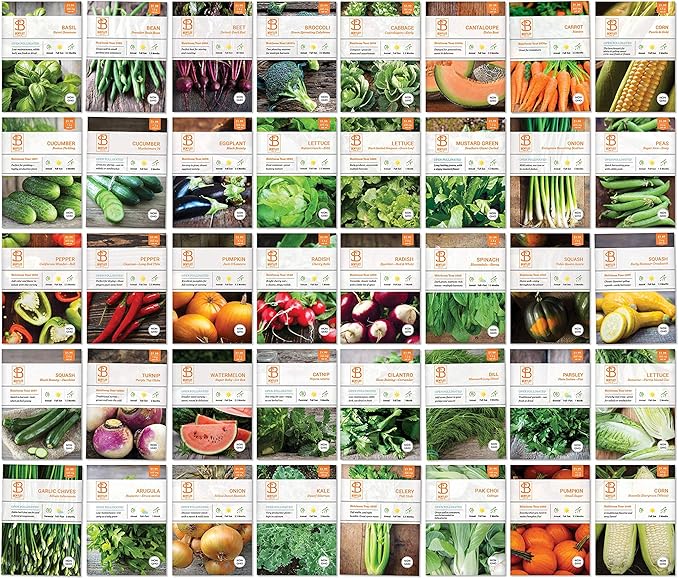 Vegetable and Herb Seeds Variety Pack for Home Garden Planting, AB
