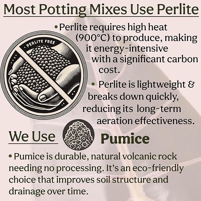 Craft Houseplant Potting Mix, Elite House Plant Soil, Chunky, Well Draining Potting Soil for Indoor Plants, Tropical Plants & Potted Plants, Sustainable & Peat Free, Less Prone to Gnats 4qt