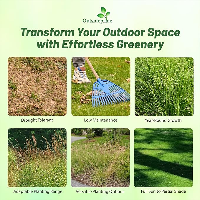 Outsidepride Southwest Native Grass Seed Mix - 1 lb. Perennial Warm & Cool Season Grasses, Drought & Heat-Tolerant, Low Maintenance, Ideal for Erosion Control, Pasture, & Natural Landscaping