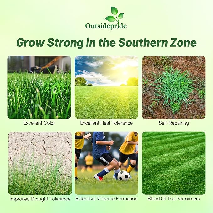 Outsidepride Combat Extreme Southern Zone Grass Seeds for Lawn - 5 lbs. SPF 30 Heat & Drought Tolerant Mix of Turf Type Fescue & Hybrid Bluegrass Seed with OptiGrowth Coating Enhanced Germination