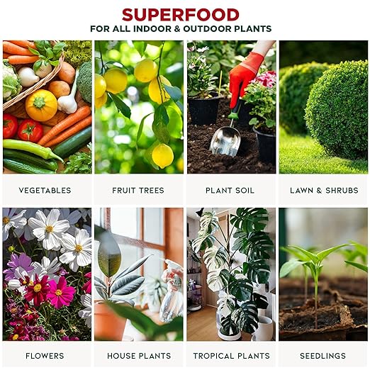 GARDENERA Premium Organic Seaweed & Kelp Superfood for Orchid Plants - 32 oz - Liquid Kelp Fertilizer Concentrate (Makes 180 Gallons)