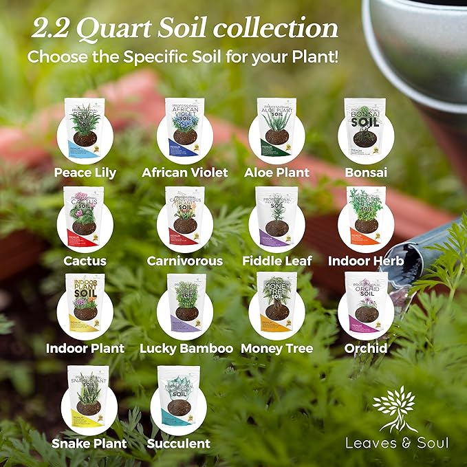 Professional Indoor Herb Plant Soil | Large 2.2 Quarts Ready to Use for Kitchen, Gardens, Cooking Herbs | Peat Moss, Coco Coir, Perlite, Dolomite | Made in USA