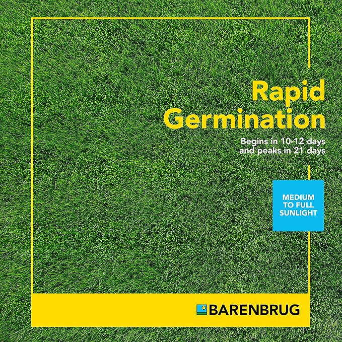 Barenbrug Turf Blue Pro Kentucky Bluegrass Lawn Seed with Yellow Jacket Seed Coating, All-Season Durable Grass Mix for Lawns, 10-lb. Bag
